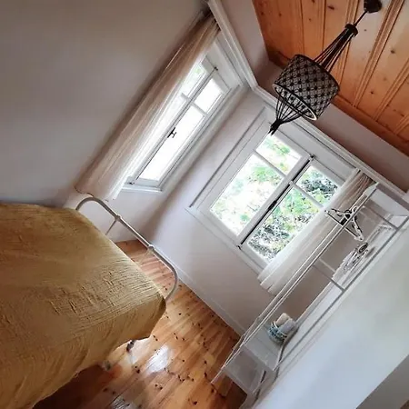 سيكوندهوم فيلة اسطنبول