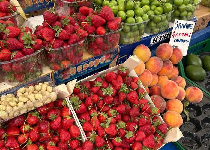 ヴィラ Charming Anatolian House In Cengelkoey *