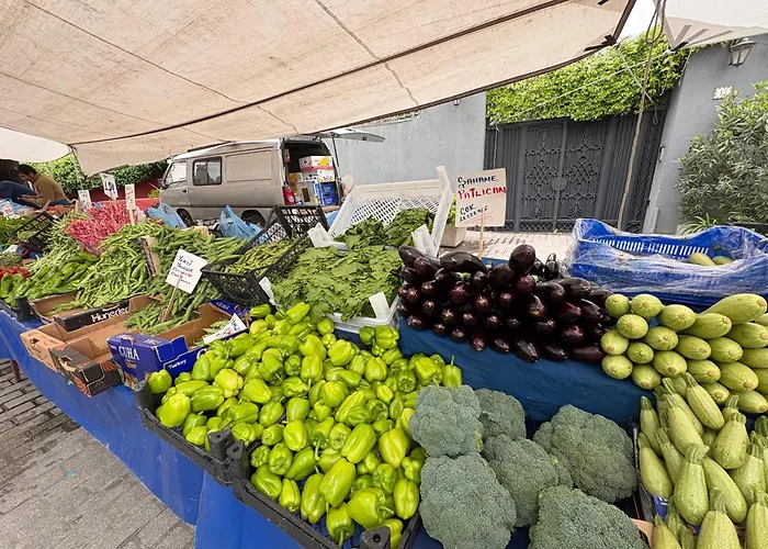 Charming Anatolian House In Cengelkoey ヴィラ イスタンブール