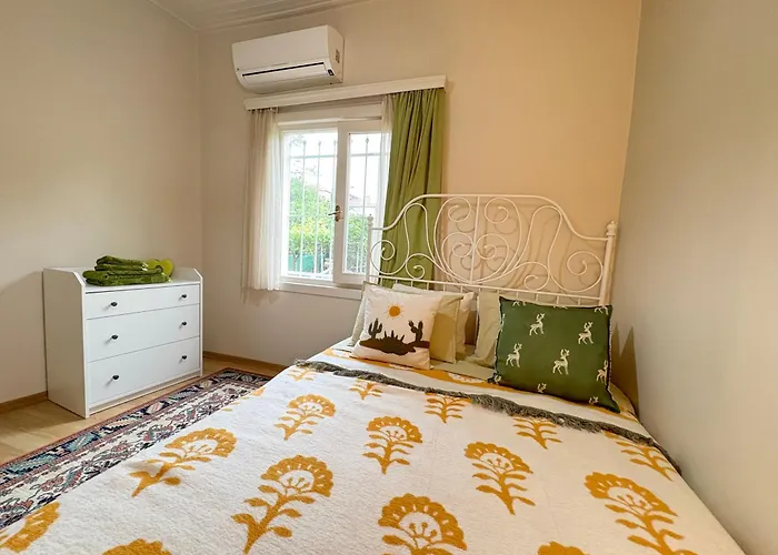 Charming Anatolian House In Cengelkoey イスタンブール